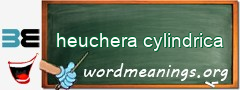 WordMeaning blackboard for heuchera cylindrica